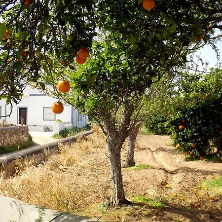 הוילה לאגוּ‏ש Casas Do Pomar חדר תמונה