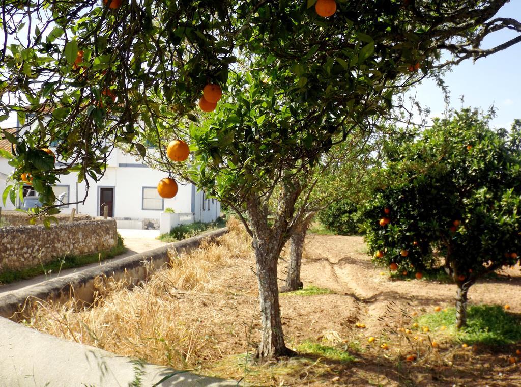 הוילה לאגוּ‏ש Casas Do Pomar חדר תמונה